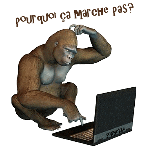 Pourquoi ca ne marche pas 404