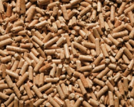 Granules De Bois