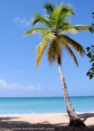 Tahiti