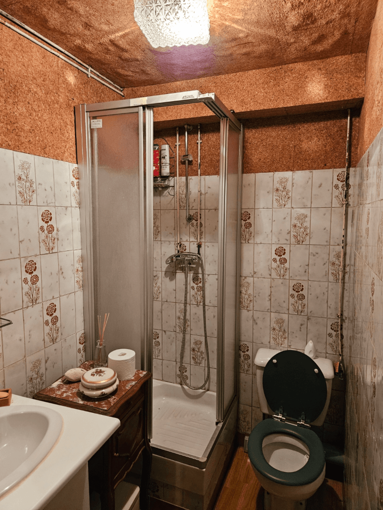 Salle de bain avec cabine de douche vitrée, toilettes et murs en carrelage à motifs floraux